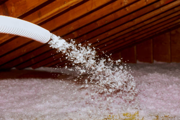 Best Home Insulation Services  in Silver Grove, KY
