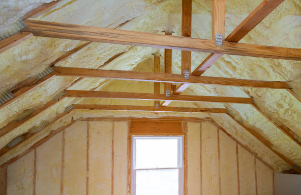Best Attic Insulation Installation  in Silver Grove, KY