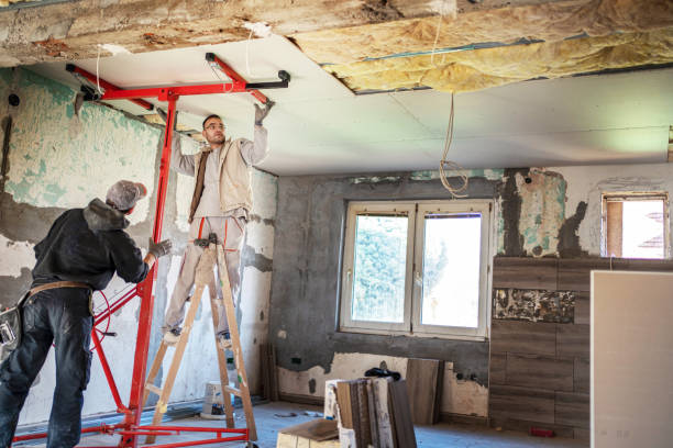 Best Wall Insulation Contractor  in Silver Grove, KY
