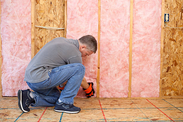 Best Fiberglass Insulation  in Silver Grove, KY